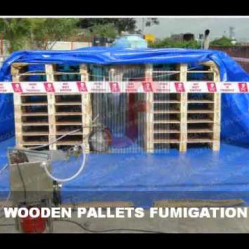 Khi nào cần khử trùng pallet gỗ